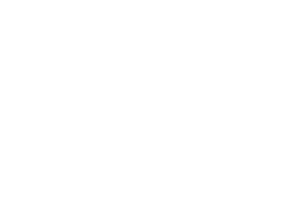 A simplified and realistic drawing of a mussel.