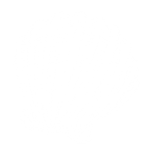 A simplified and realistic drawing of a scallop.