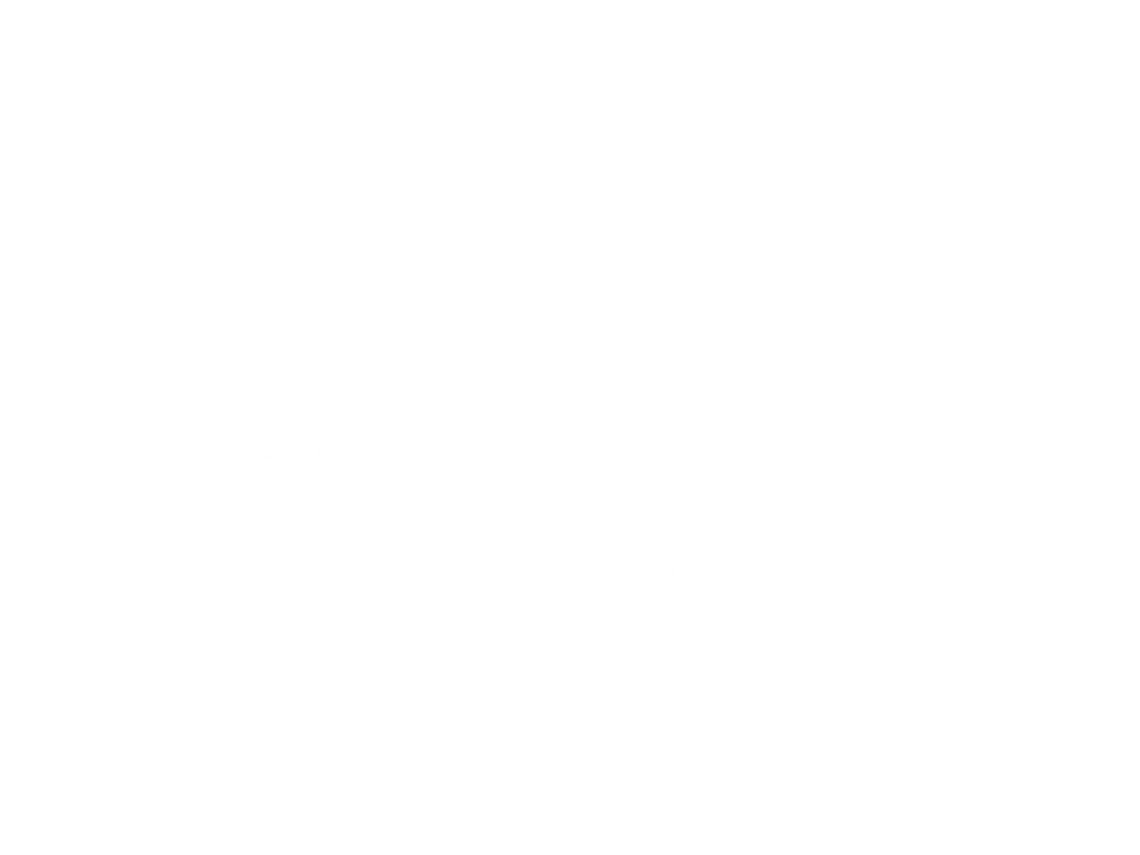 A simplified and realistic drawing of a salmon